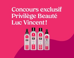 Concours Luc Vincent